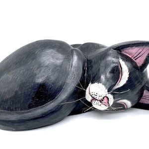 All Curled Up Sleeping Black Cat